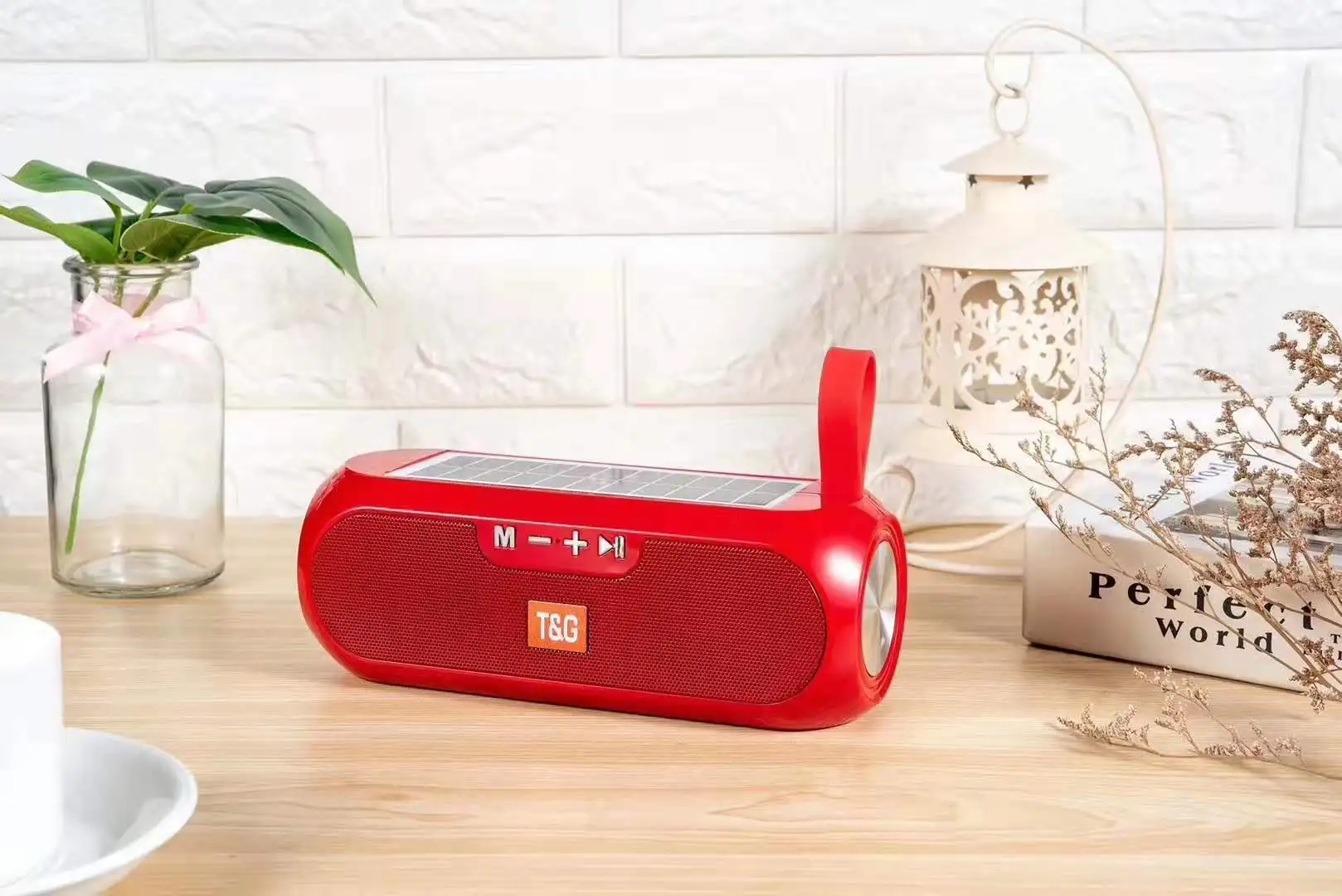 2020 New arrival speaker Solar energy power supply TWS speaker TG182 multi functional wireless TF AUX USB play speaker - ANKUX.COM