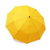 Hot Selling Compact Travel 10 Ribs Windproof Auto Open Close Folding Umbrella with Upgraded Comfort Handle