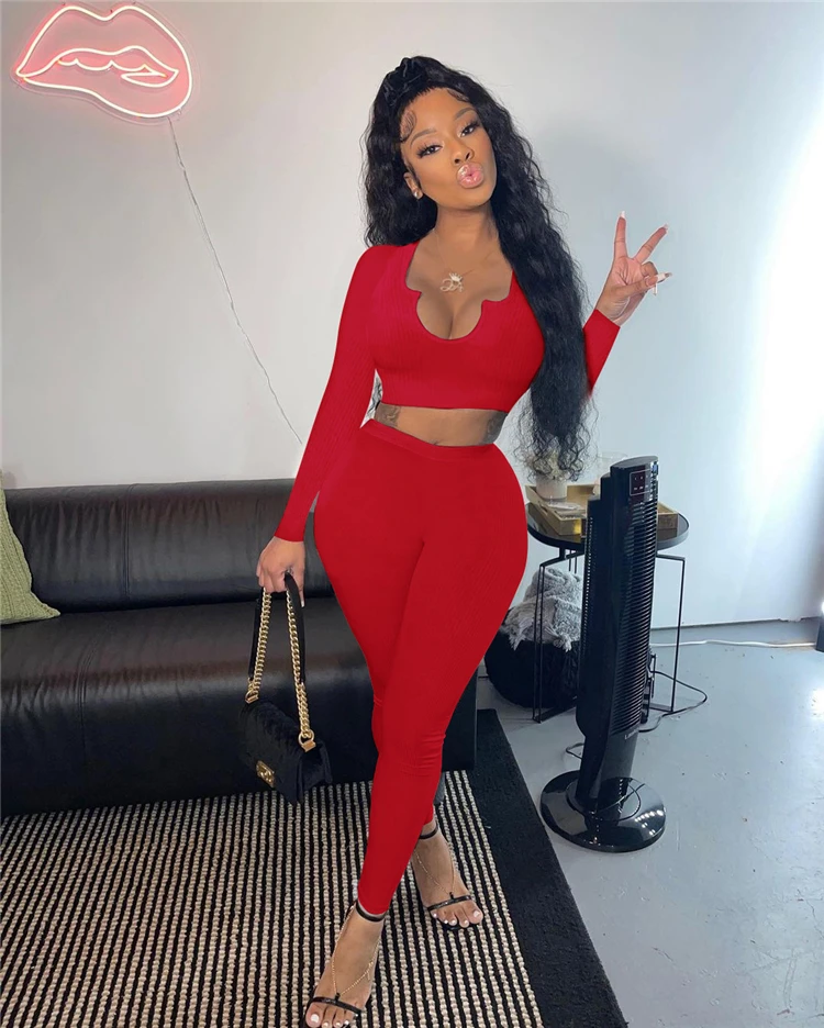 

New Arrival Casual Solid Color V Neck Long Sleeve Crop Fall 2 Piece Set Women Two Piece Pants Set