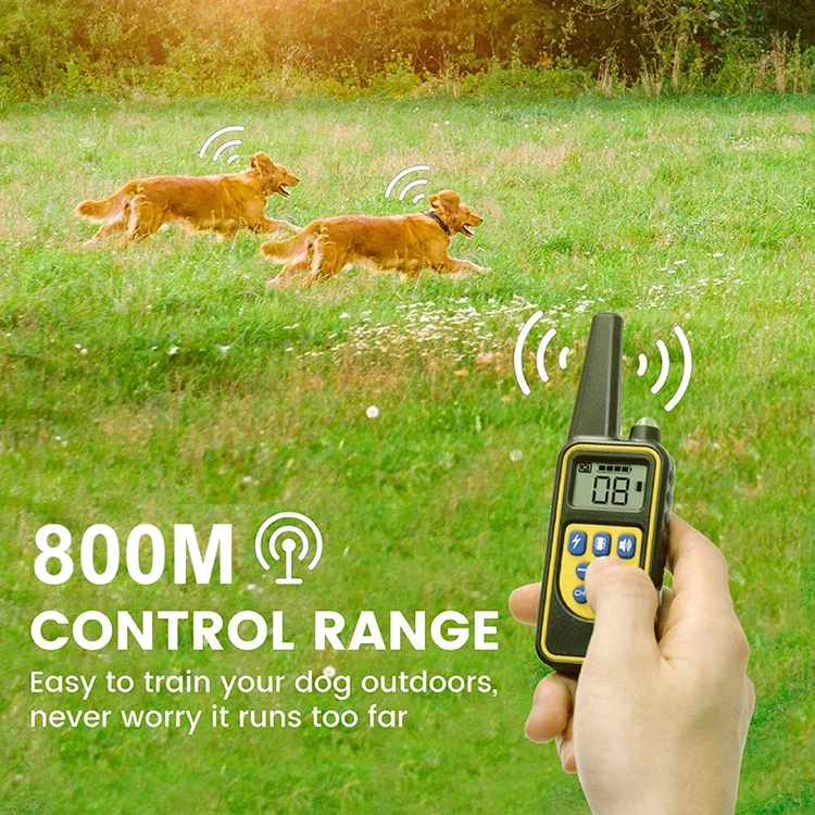 Dog Training Collar.jpg