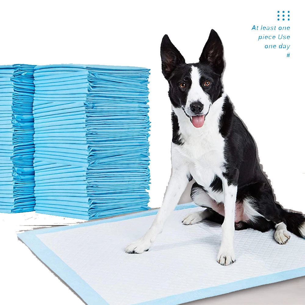 

Wholesale Super Absorbent Pet Diaper for Dogs Training Pee Pads Disposable Healthy Nappy Mat Diapers