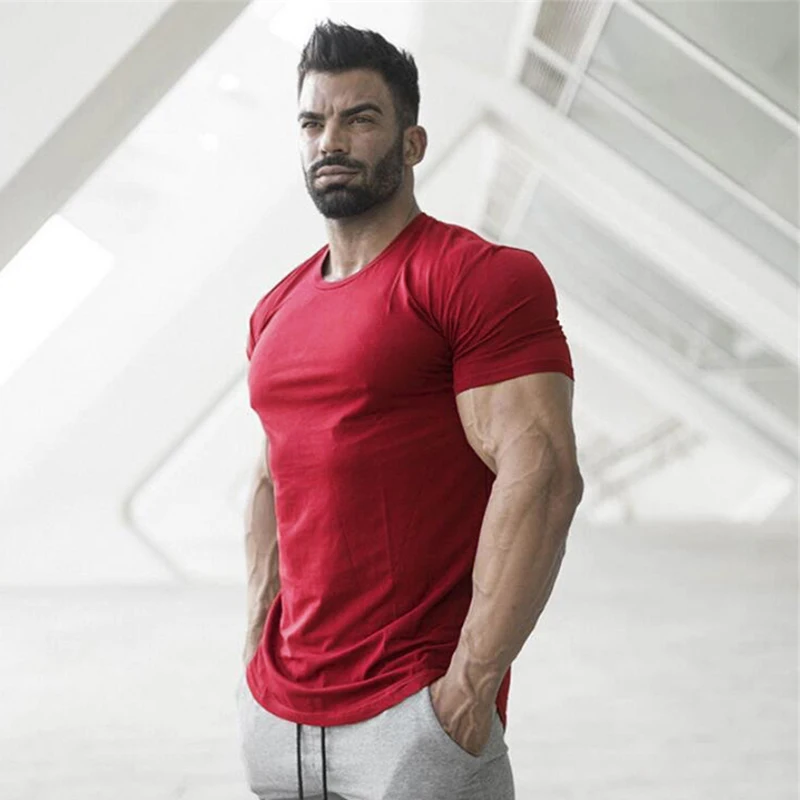 

Wholesale Men's Seamless Fitness T-shirts Gym T Shirt From China