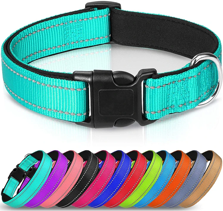 

Free sample dropshipping high quality fashionable pet nylon reflective collar dog