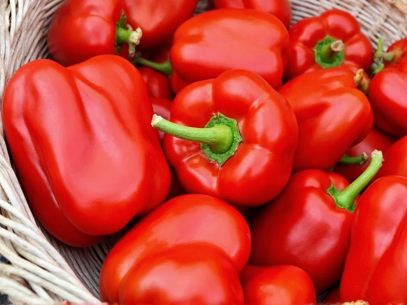Paprika Benefits: 7 Science-Backed Health Advantages