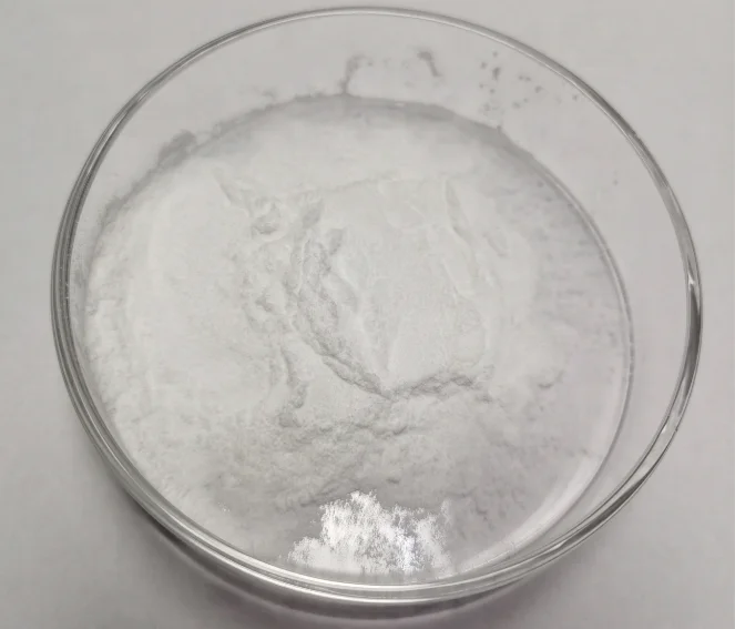 paste-pic-dp_uuid_cibyj