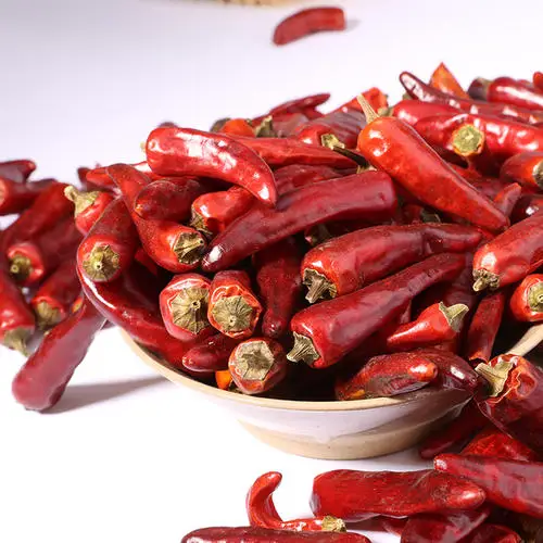 hot pepper dry red chilli wholesale suppliers