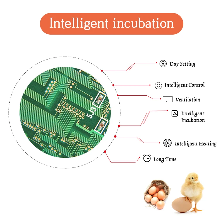 60egg incubator-28.jpg