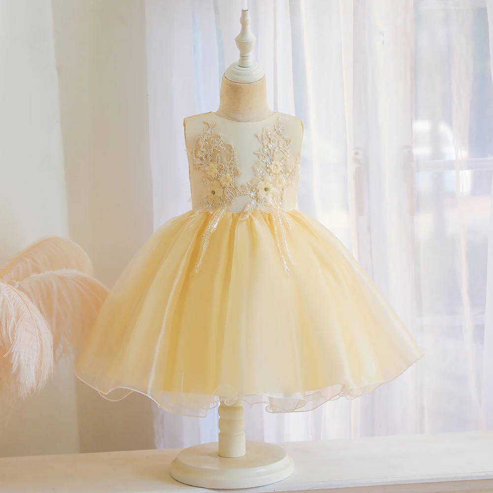 

Baby embroidered sleeveless princess dress girls fashion elegant banquet dress blue 0-6 years old clothing