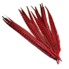 China leading supplier ringneck pheasant tail feathers artificial feathers