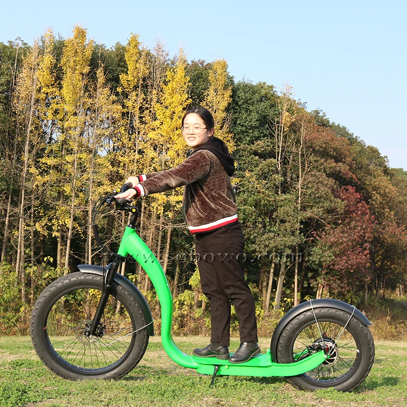 

Factory Price Lithium Battery Electric Scooter Fat Tire Electric Kick Bike