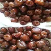 New Crop Preserved Date (Jujube ) with syrup for sales