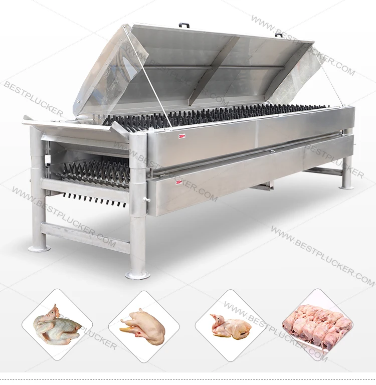 Big Capacity Poultry Defeathering Machine For Chicken Slaughtering ...