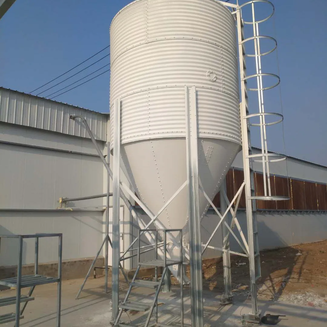 automatic poultry feed system  for sale house ground floor feeding farm chicken house System equipment Automatic price