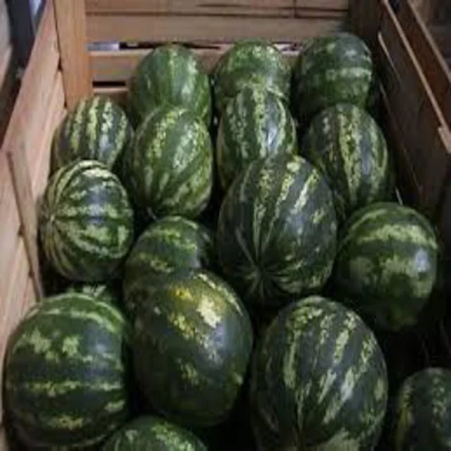 
fresh watermelon 