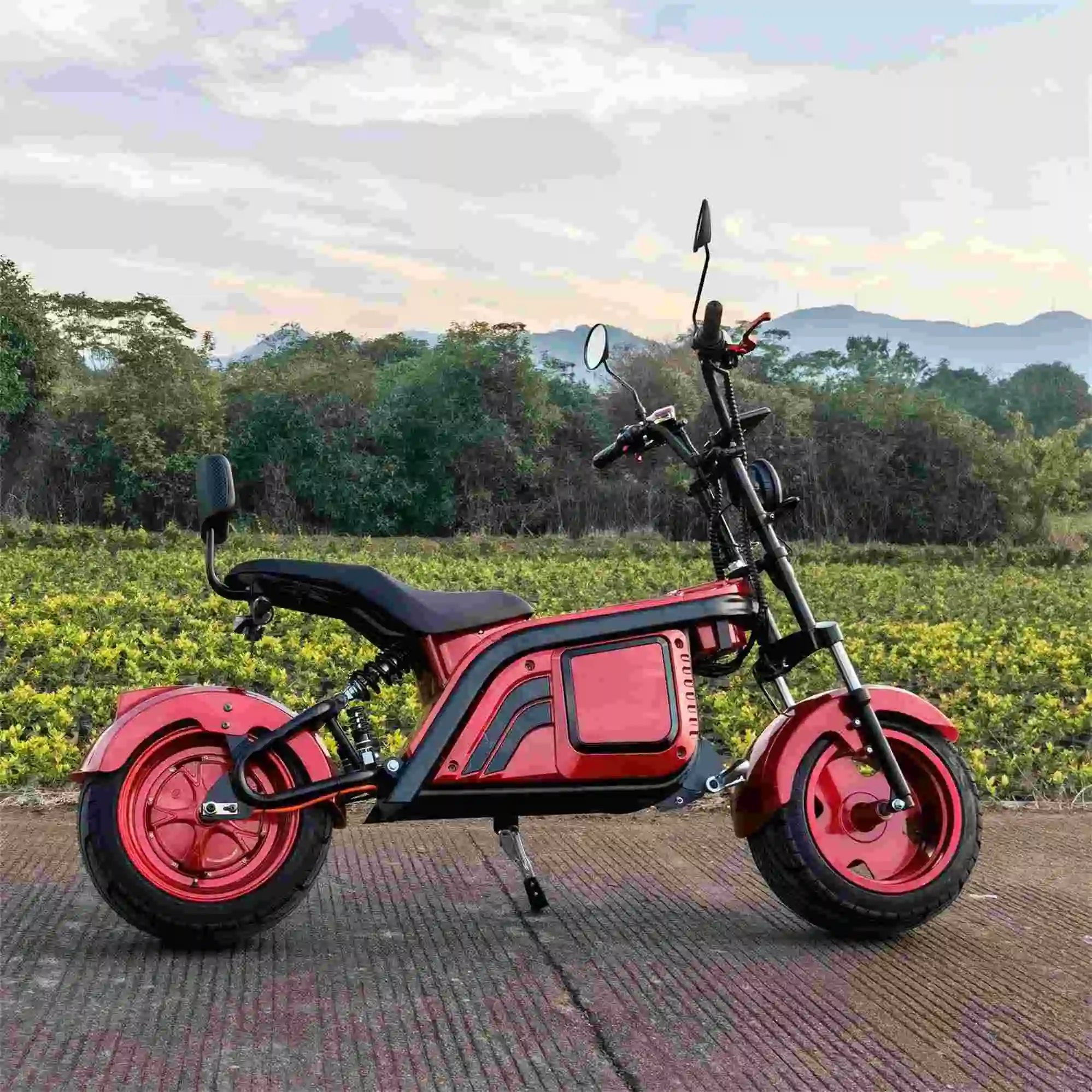 

Emak/COC/EEC Hot Sale 2 Wheel Mobility Scooter Lithium Battery Electric Citycoco