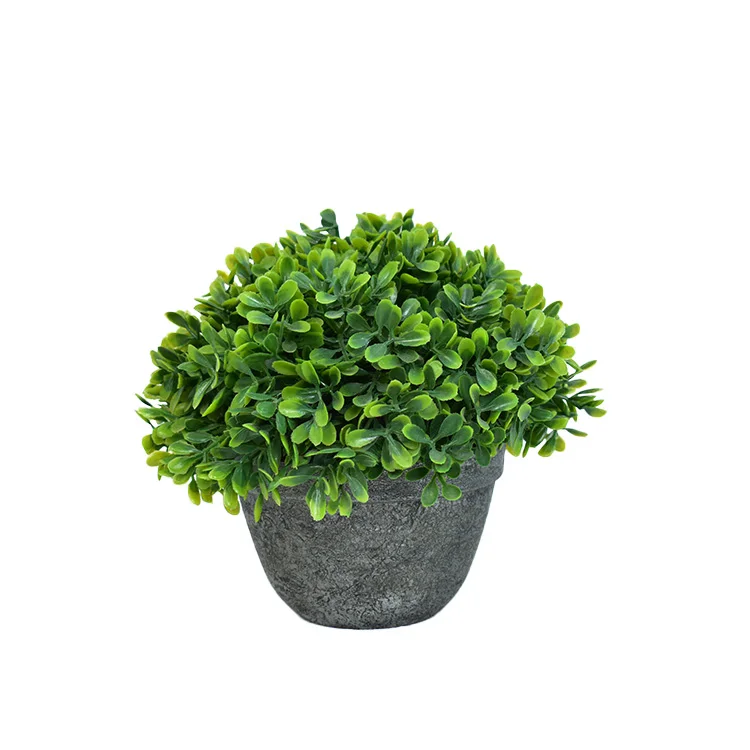 Decorative Plastic Potted Garden Boxwood Plant Artificial Bonsai Plant