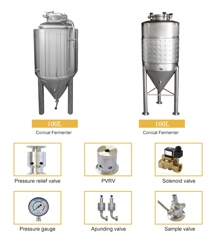 100l Fermenter Beer/used Fermenter/fermenting Machine Price Buy 100l