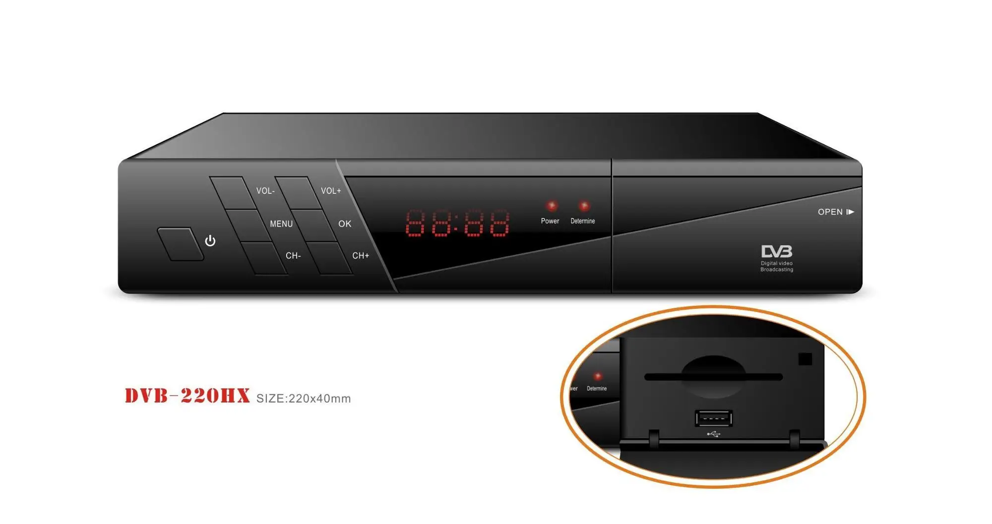 DVB (15).jpg