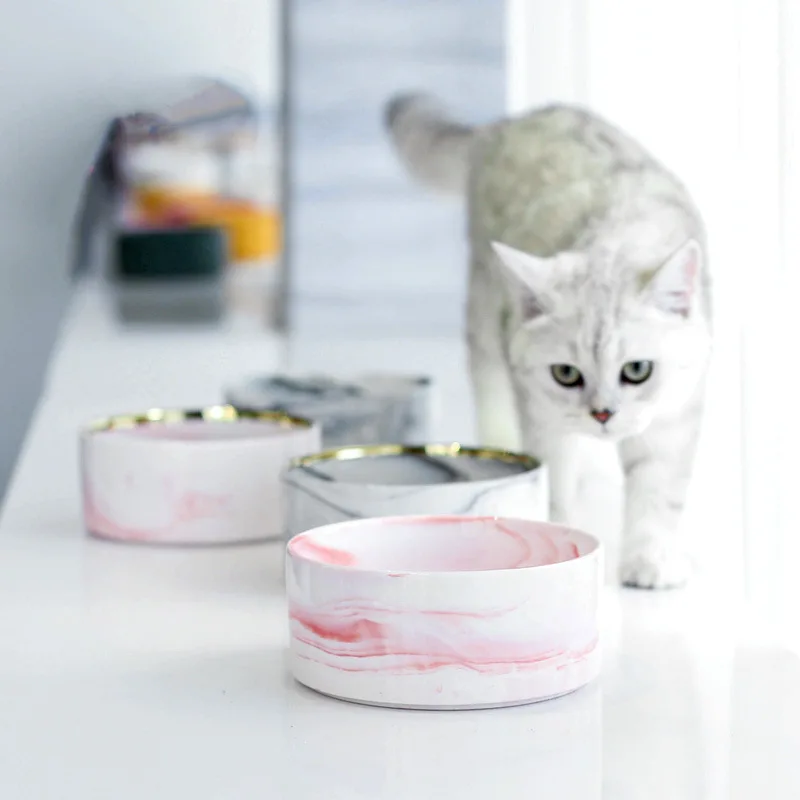 

Wholesale Colorful Pet Bowl Delicate Ceramic Food Bowls Pets Feeder Bowl For Small Animals