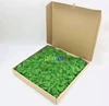 Artificial plant eternal life moss Garden home decoration wall DIY material Mini Garden Micro Landscape preserved moss panel