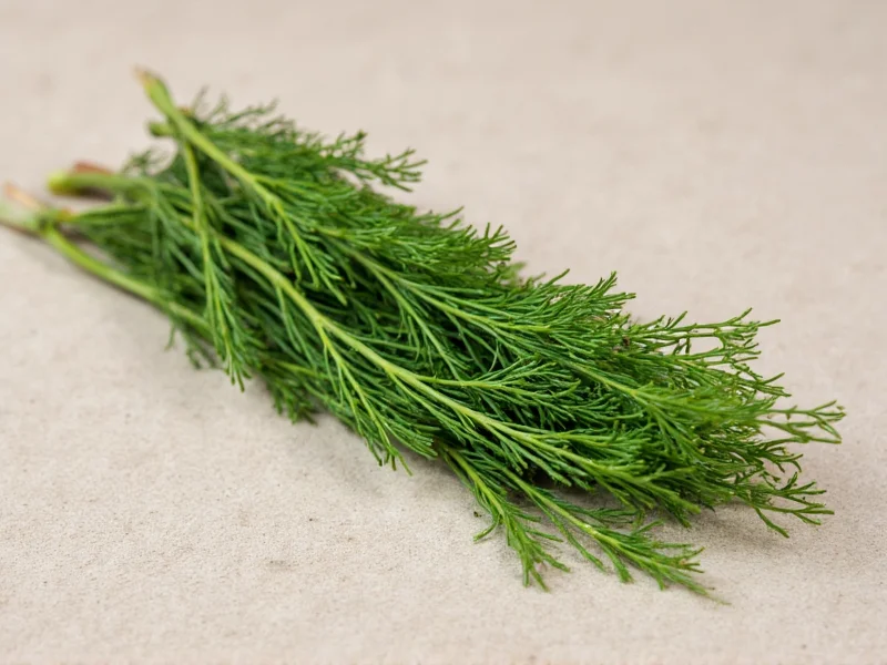 How to Dry Fresh Dill: Best Methods & Storage Tips