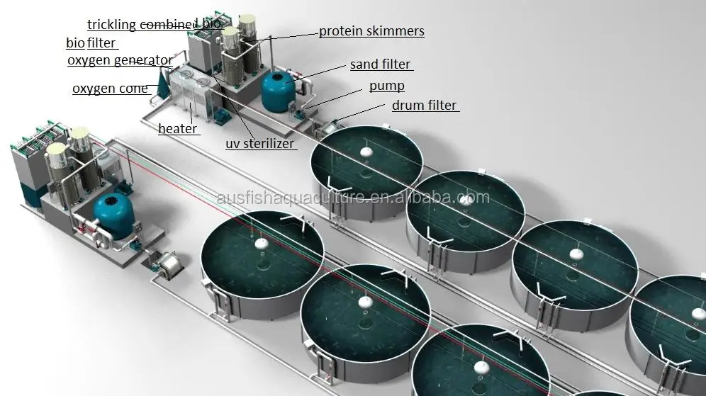 Layout Design For Aquaculture Fish Farm/ras/recirculation Aquaculture