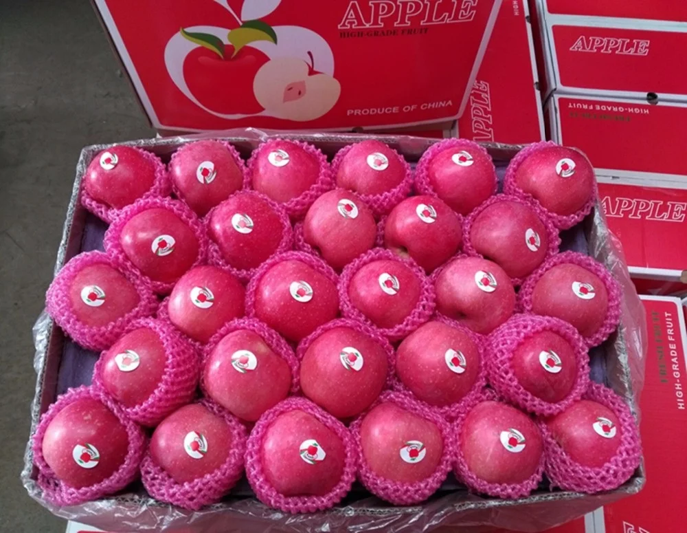 
fresh apple fruit wholesale distributors 