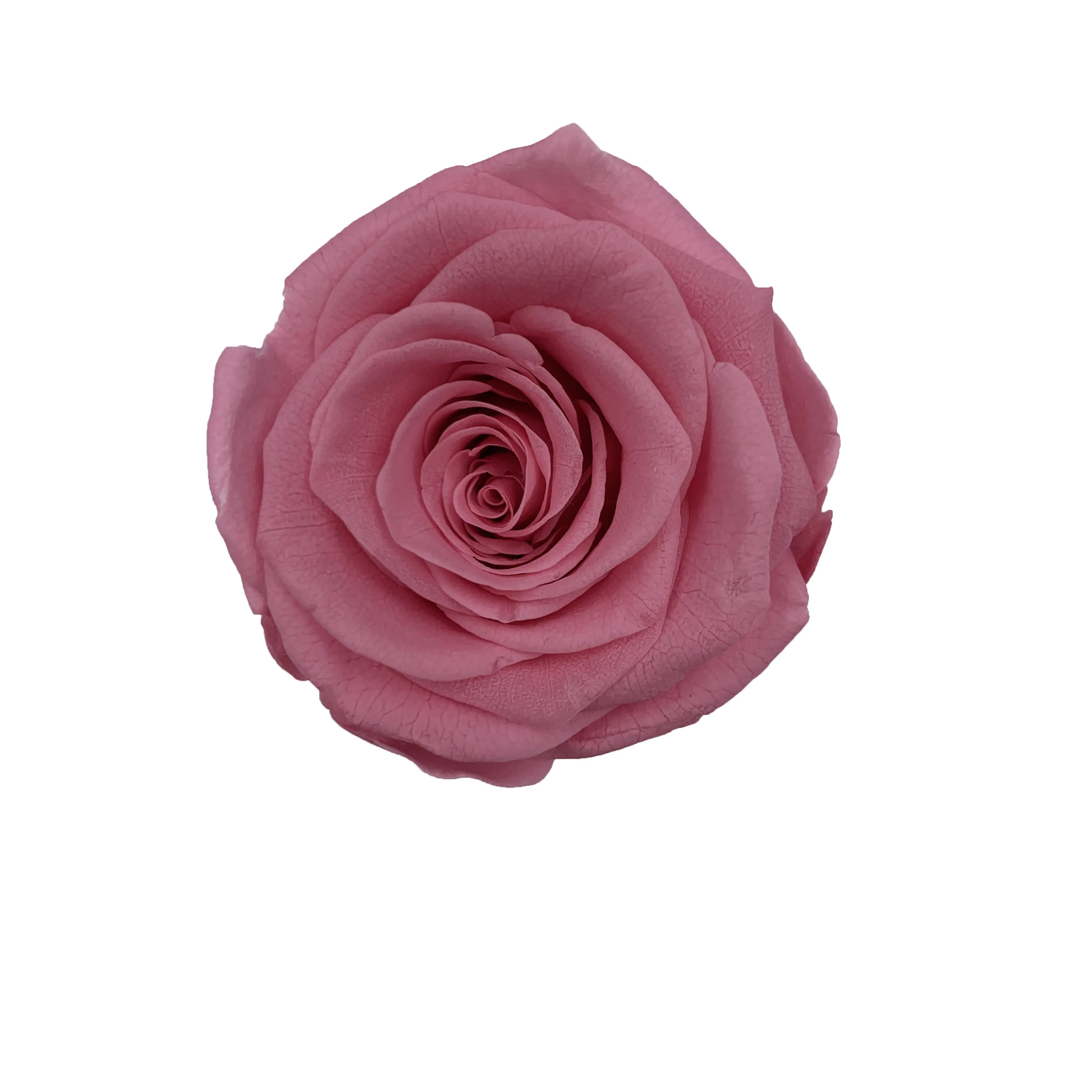 romantic artificial flower luxurious flower red rose preserved