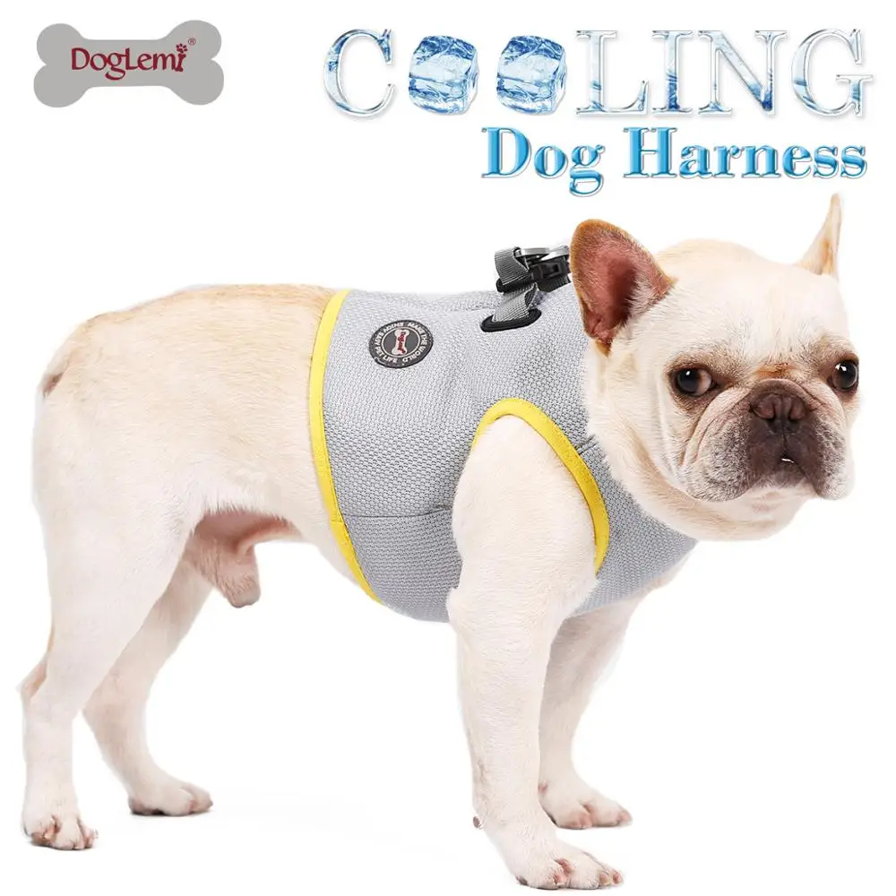 

Factory Price DogLemi Cooling Pet Harness Summer Mesh Walking Dog Cool Vest Harness, Grey yellow