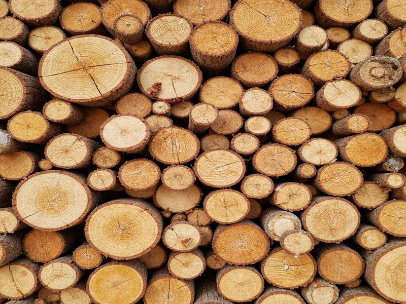 wood rounds for crafts