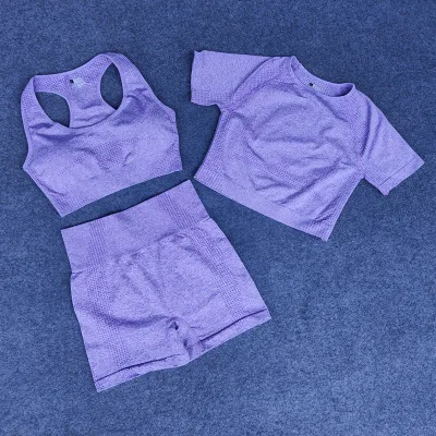 

Custom Logo Wholesale Women 3pcs Seamless Yoga Set Yoga Bra Crop Top Short Sleeve Shirts Sports Shorts Yoga Set, 6 colors as pictuer showed