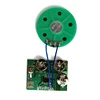 Customized animal sound record module chip for toy