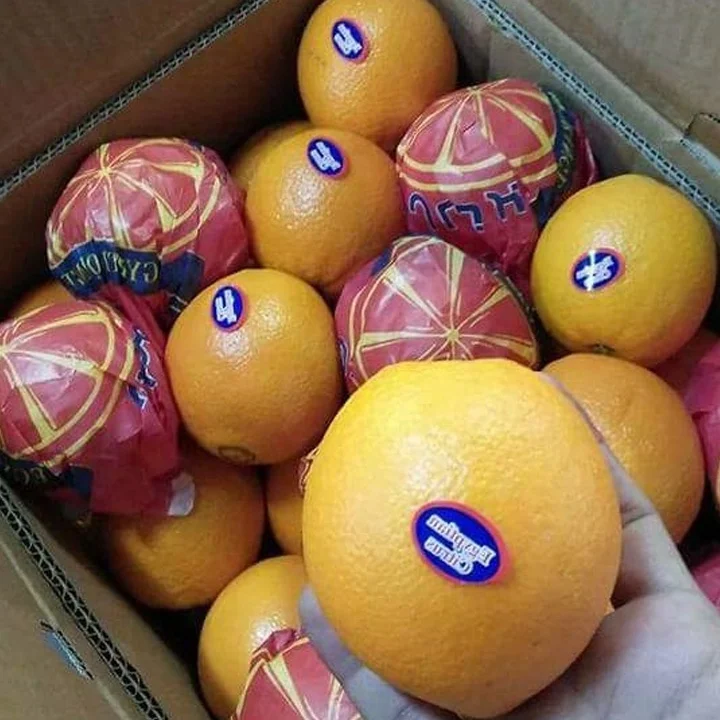 
Low Price For Fresh Orange Fruit Wholesale Valencia Navel Orange 
