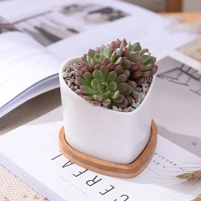 

Creative mini succulent plant ceramic oblique peach heart shape with bamboo tray zakka potted flower pot
