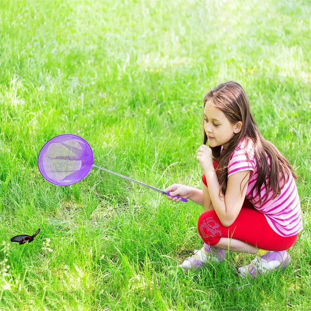 彩色伸缩蝴蝶网小鱼捕捉昆虫户外玩具儿童玩从 14.5 "到 33.5"