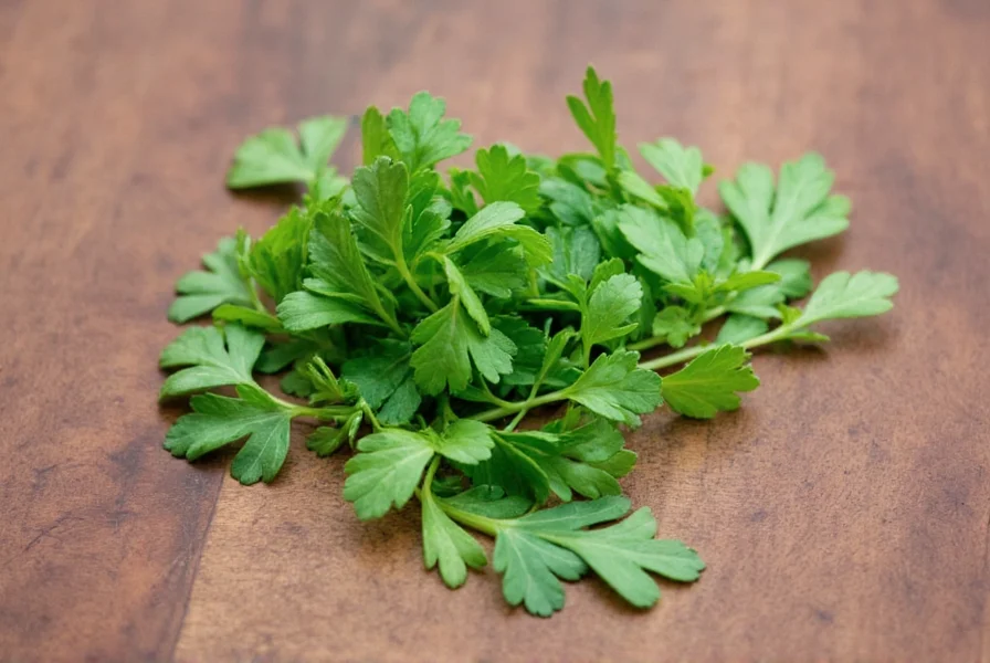 Chopped Coriander Leaves