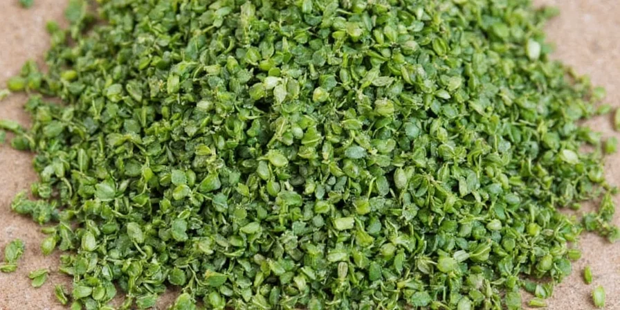 A small herb garden featuring chervil plants