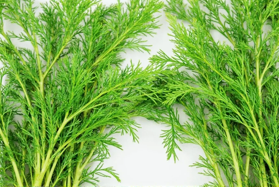 French dill mixed into herb butter