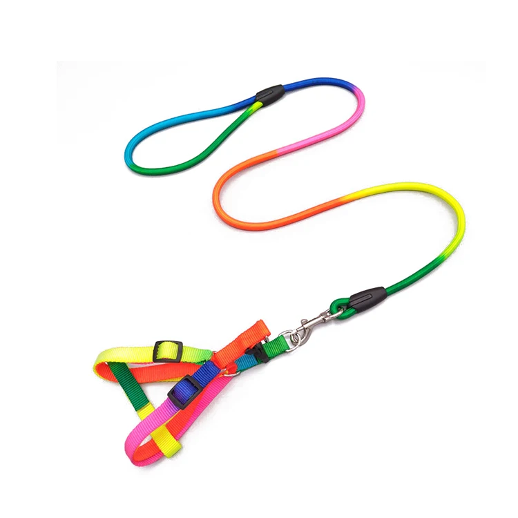

Leather Halsband Leash Pvc Cheap Dog Cat Hamac Hause Colier Gps Collars Collara Tt15 Collar Collard Puppy Belts Walking Petshop, Red/ green/ pink/ yellow/blue