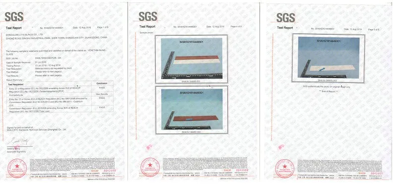 SGS 