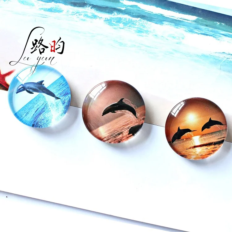 

Luyun 30mm Sea Sealife Blue Bouncing Dolphin Glass Tourism Fridge Magnet For Souvenir