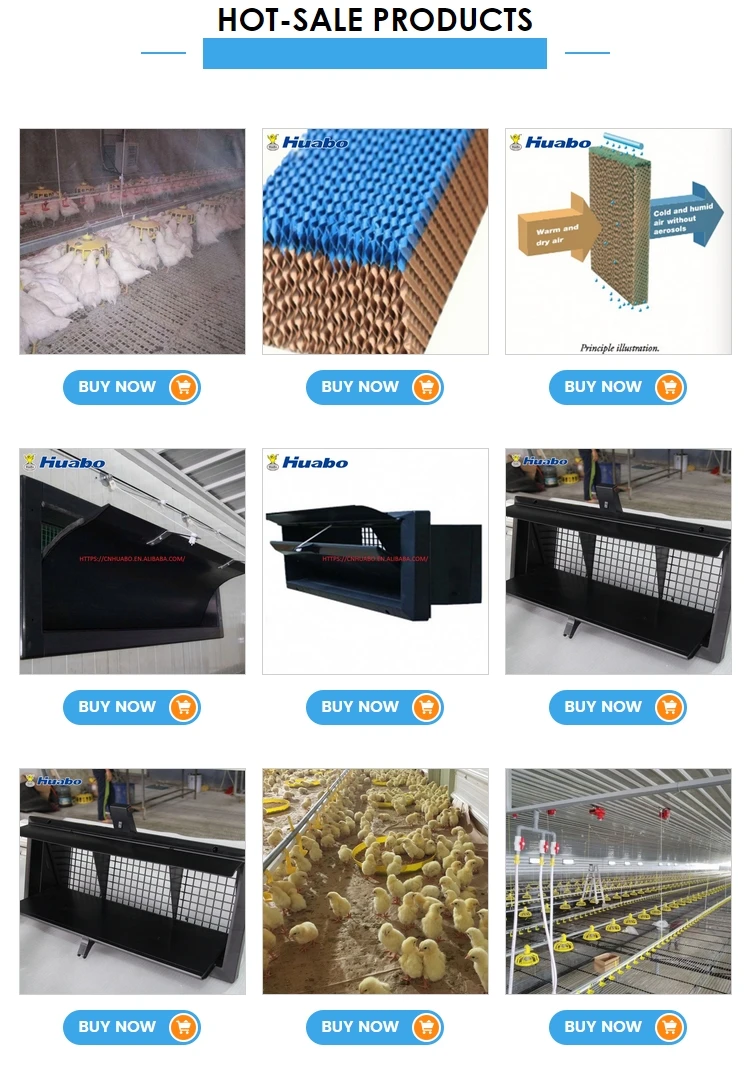 Professional Commercial Chicken House Buy Commercial Chicken House