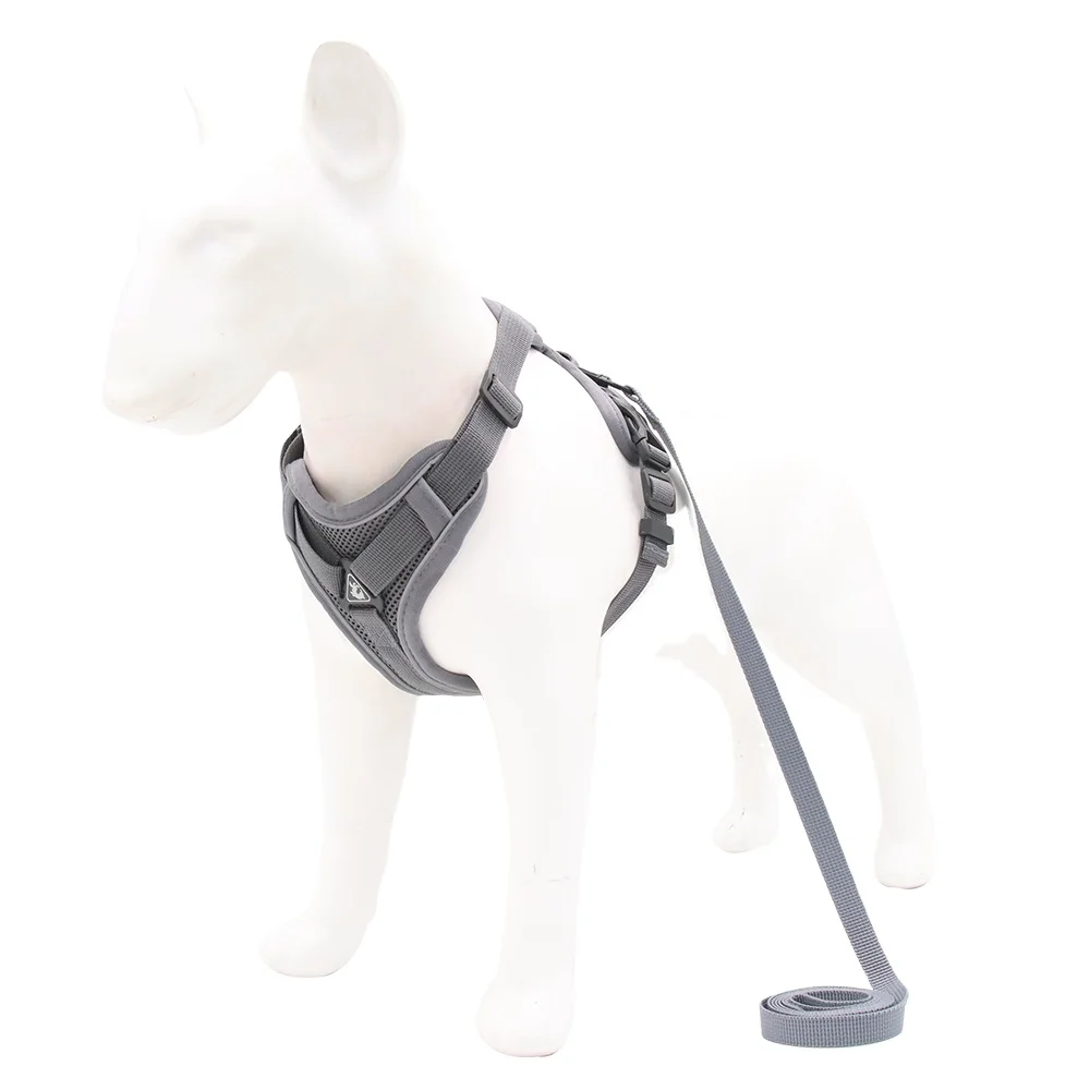 

Hot sale dog leash cotton dog walking outdoors led leash dog