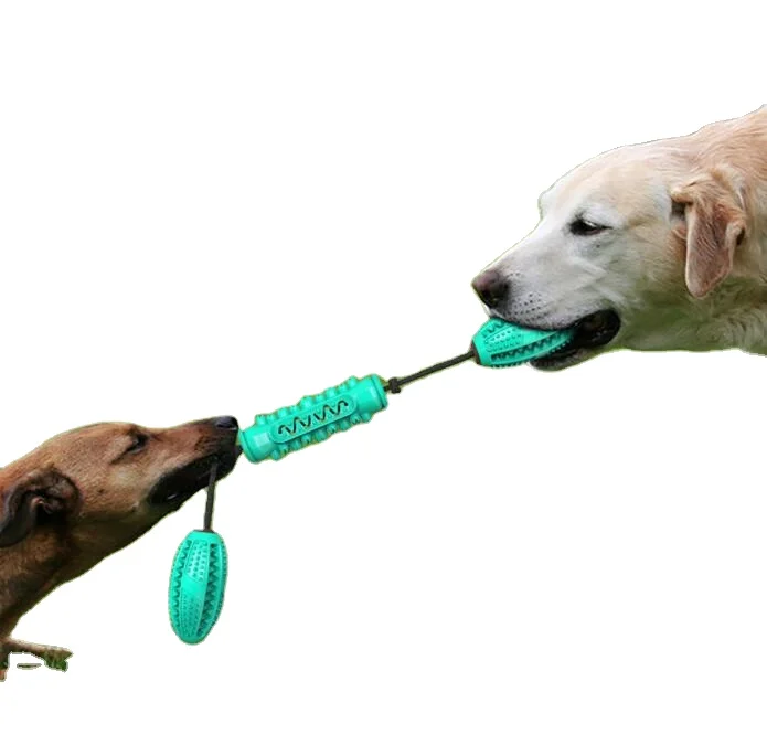 

Free Sample OEM Wholesale Eco-friendly Pet Molar Bite Ball Toys for Dog Toothbrush Toy Stick Rope, Blue, green