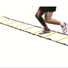 quick ladder pro
