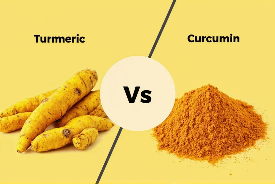 turmeric vs turmeric curcumin