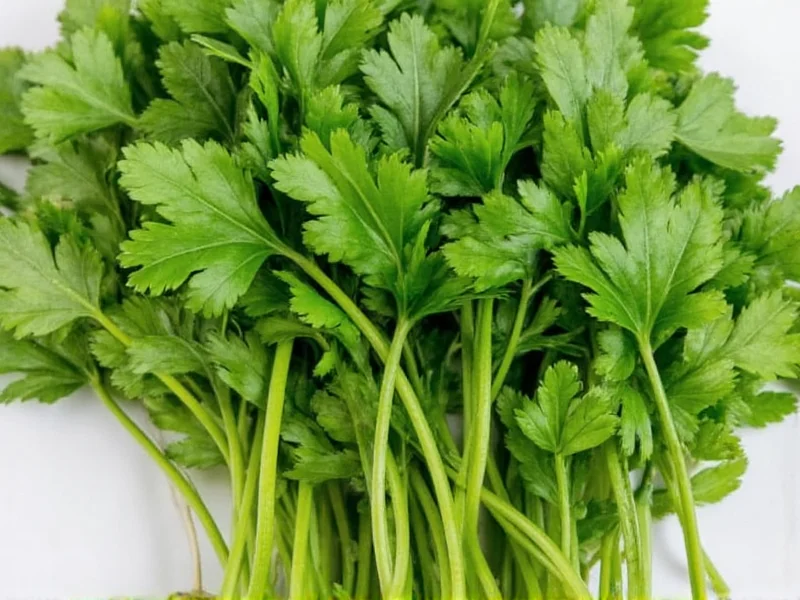 Parsley vs Cilantro: Can You Substitute One for the Other?