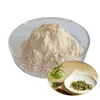 Natural Strong Antioxidant preservative Bulk 20%Rosmarinic acid powder