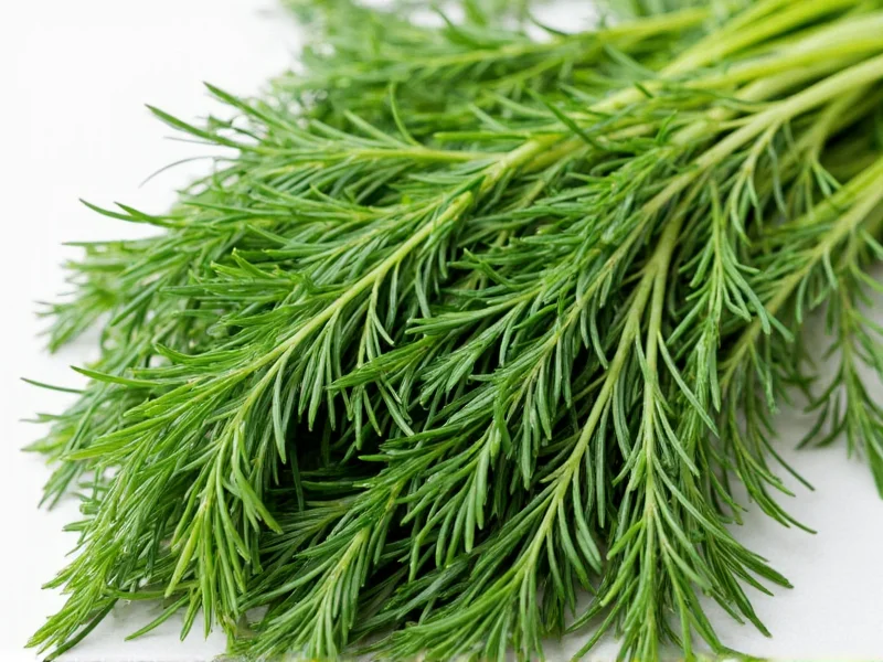 Best Dill Leaves Substitutes: Practical Alternatives for Cooking