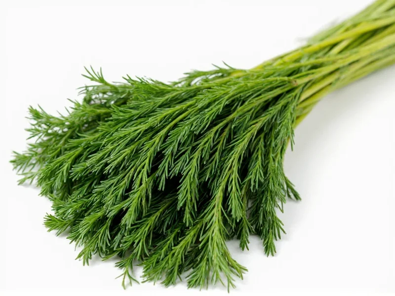 1/4 Cup Fresh Dill to Dried Conversion: Exact Measurements